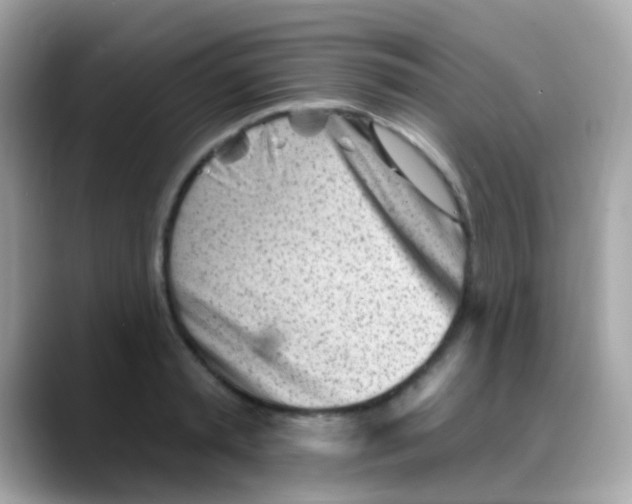 X0000088040797200706011323