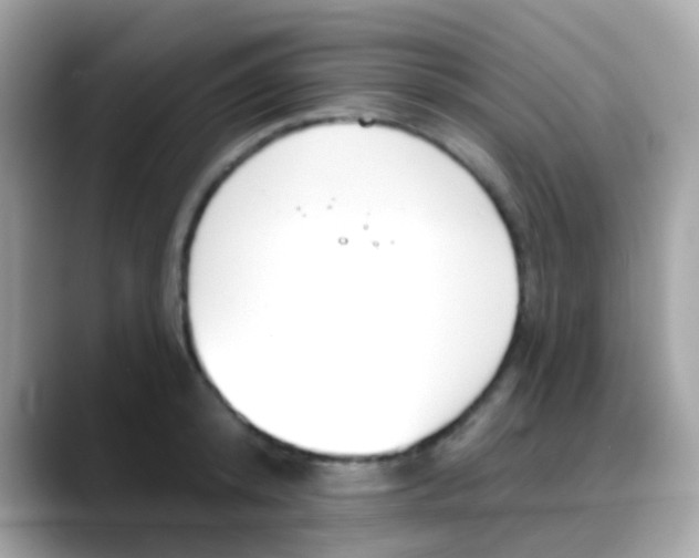 X0000088040800200706011323