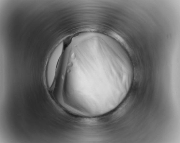 X0000088040802200706011323