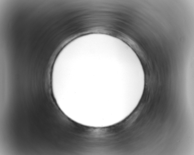 X0000088040808200706011323