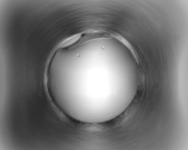 X0000088040811200706011323