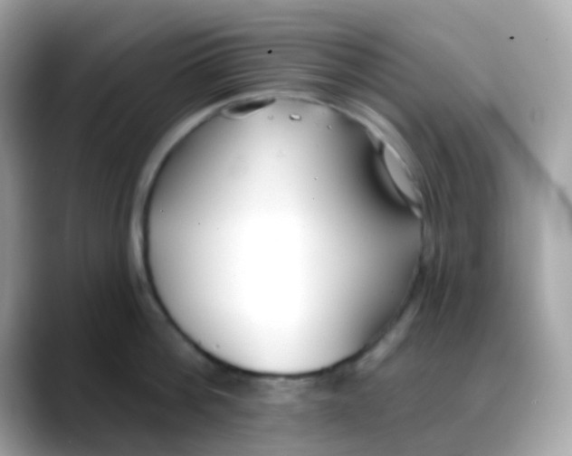 X0000088040812200706011323