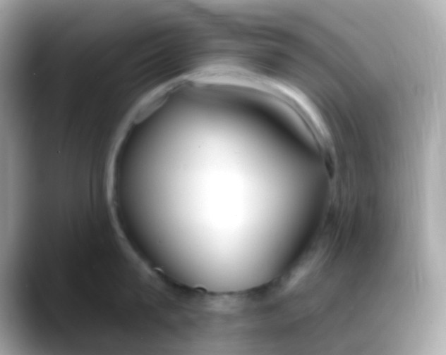 X0000088040815200706011323