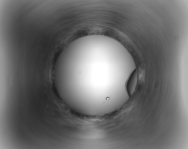 X0000088040819200706011322