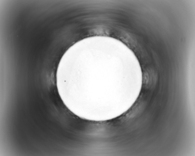 X0000088040820200706011322