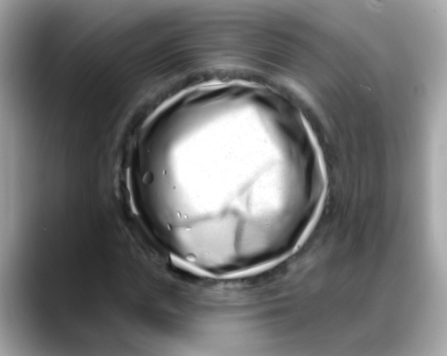 X0000088040823200706011322