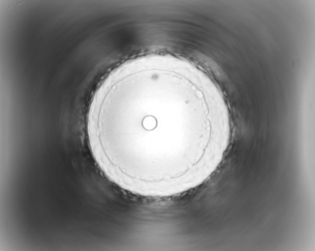 X0000088040824200706011322