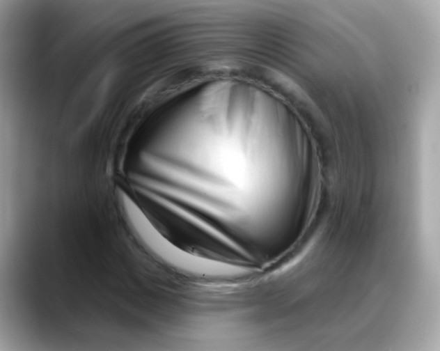 X0000088040825200706011322