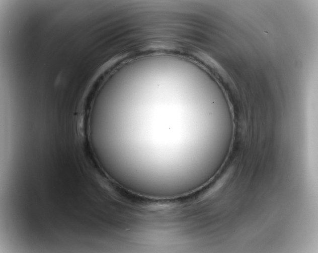 X0000088040830200706011322