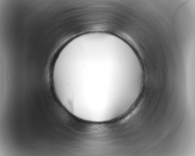 X0000088040835200706011322