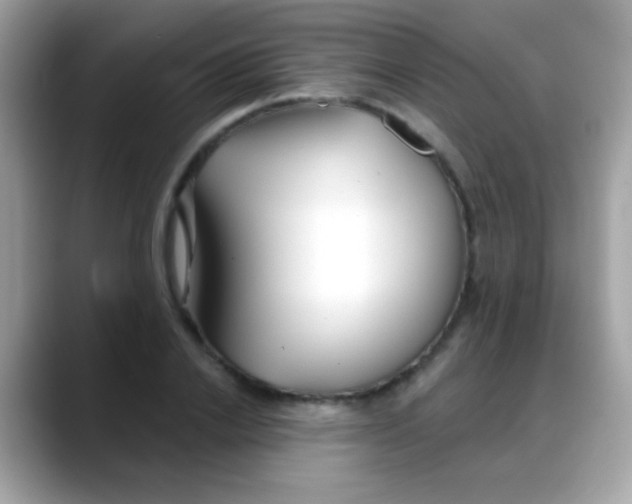 X0000088040838200706011322