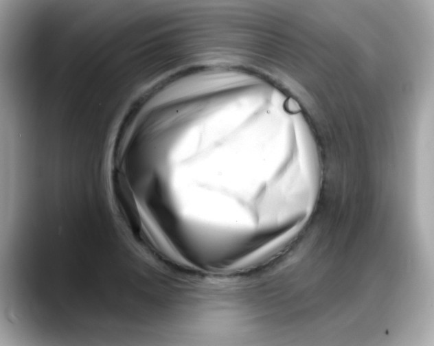 X0000088040840200706011322