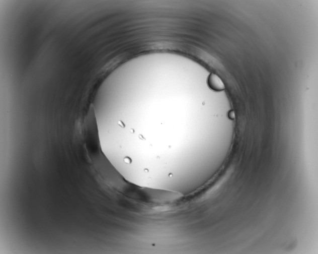 X0000088040841200706011322