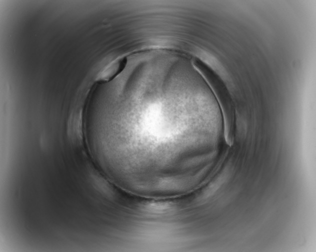 X0000088040842200706011322