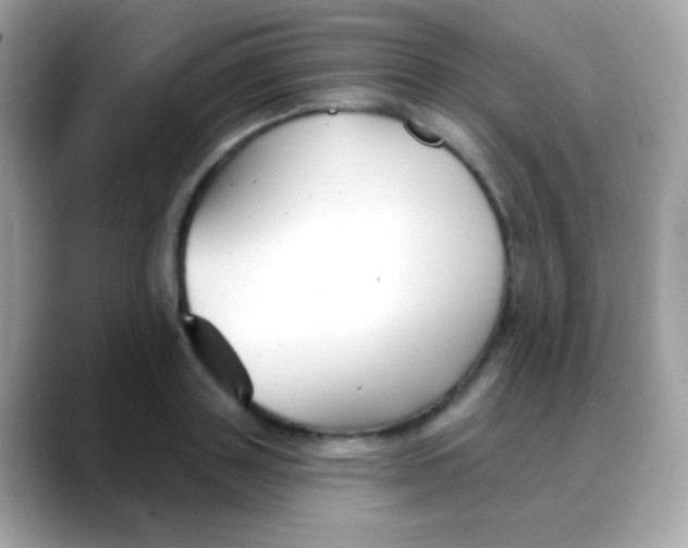 X0000088040843200706011322