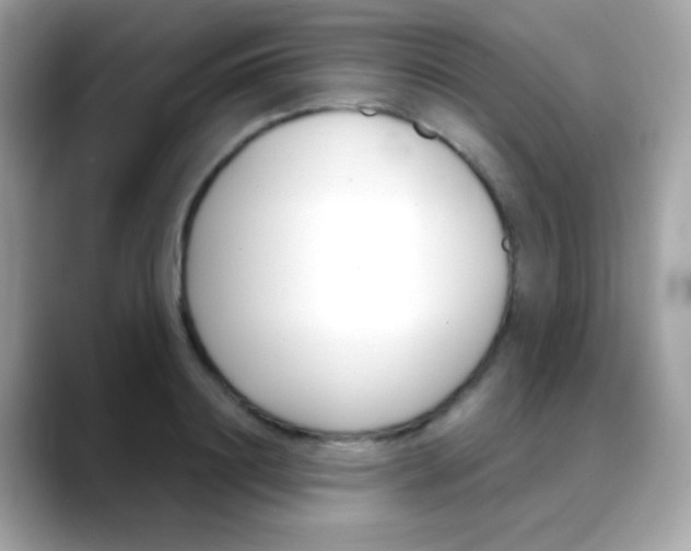 X0000088040844200706011322