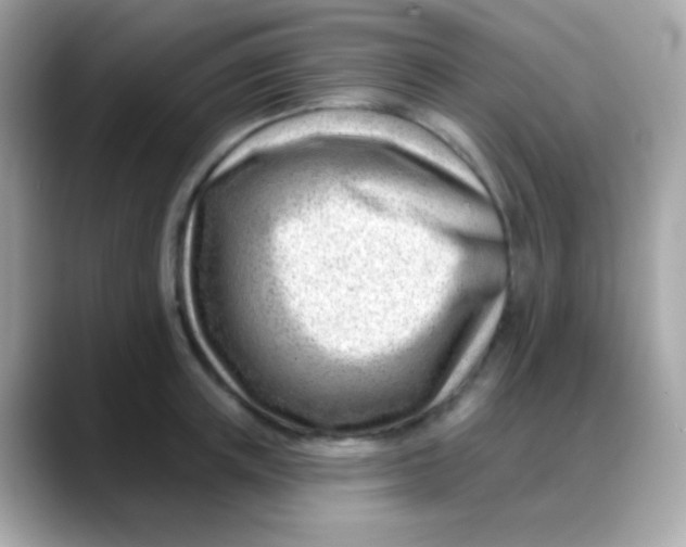 X0000088040851200706011322