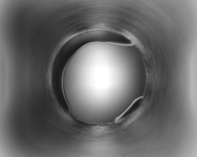 X0000088040854200706011322