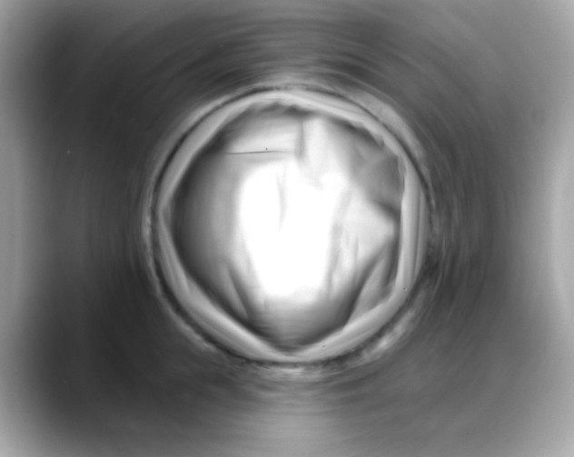 X0000088040855200706011323