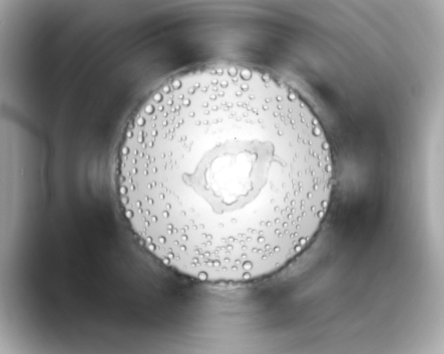 X0000088040856200706011323