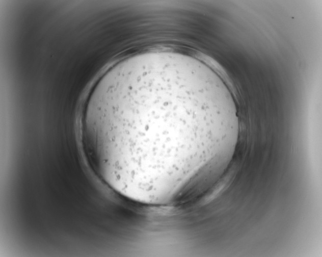 X0000088040859200706011323