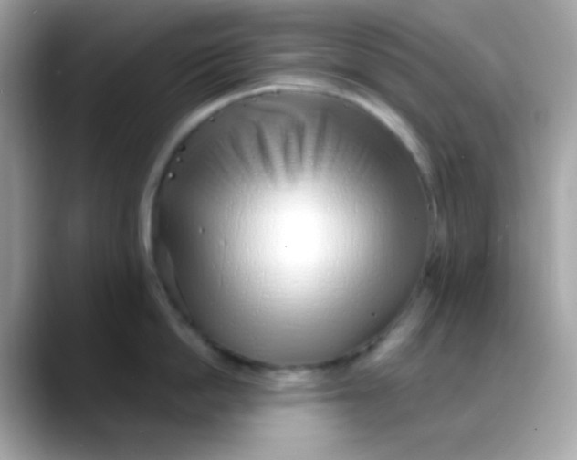 X0000088040862200706011323