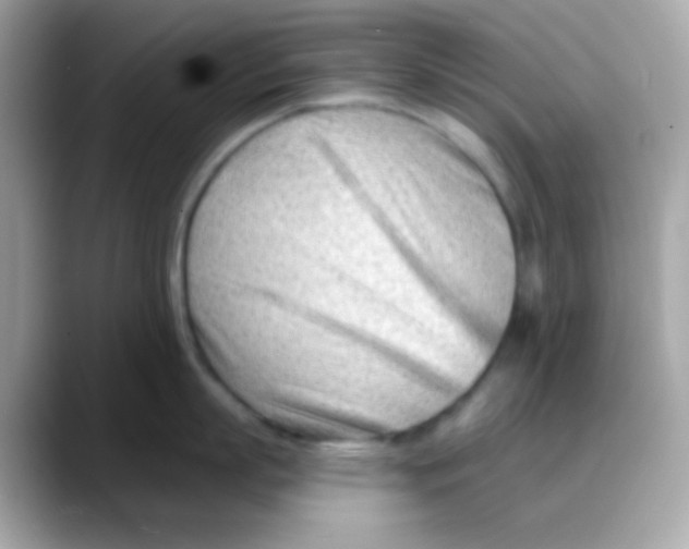 X0000088040863200706011323