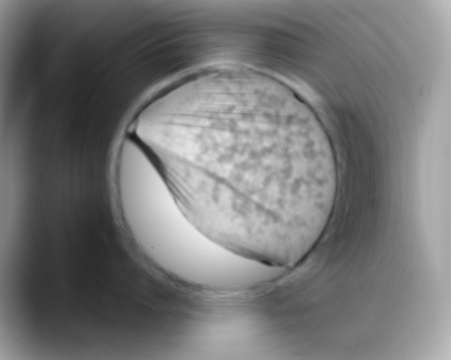 X0000088040864200706011323