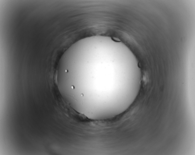 X0000088040867200706011322