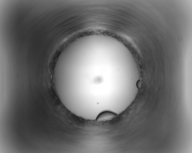 X0000088040871200706011322