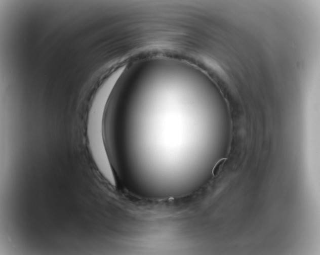 X0000088040872200706011322