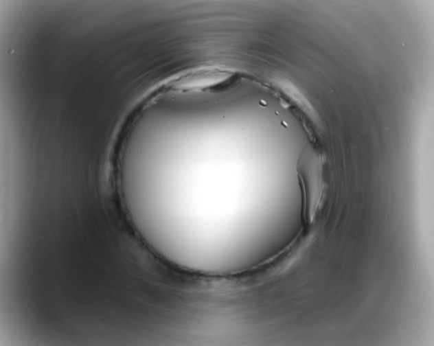 X0000088040876200706011322