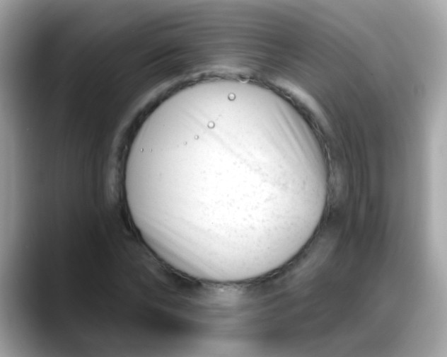 X0000088040878200706011322