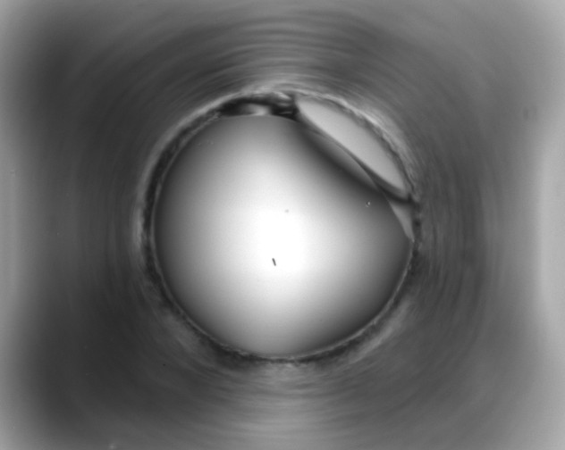 X0000088040880200706011322