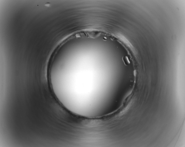 X0000088040884200706011322