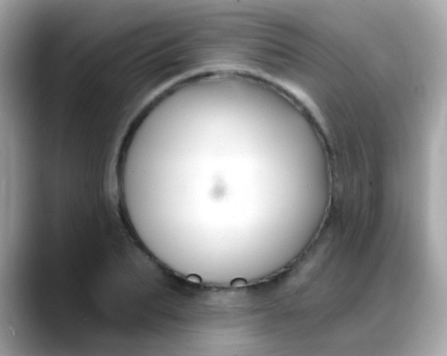 X0000088040887200706011322