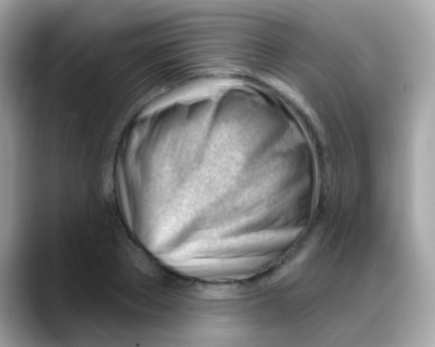 X0000088040889200706011322