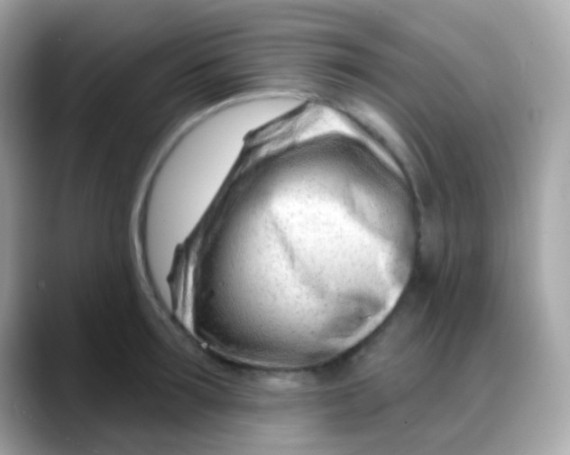 X0000088040899200706011322