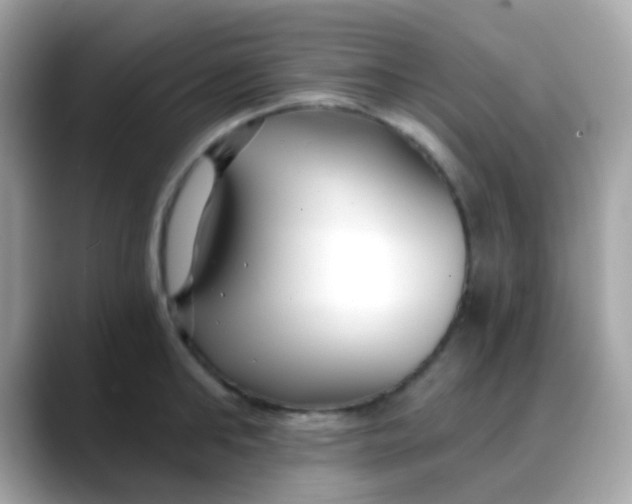 X0000088040902200706011322