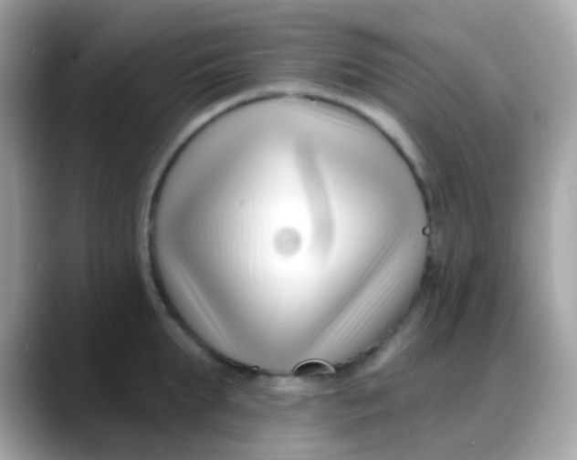 X0000088040903200706011322