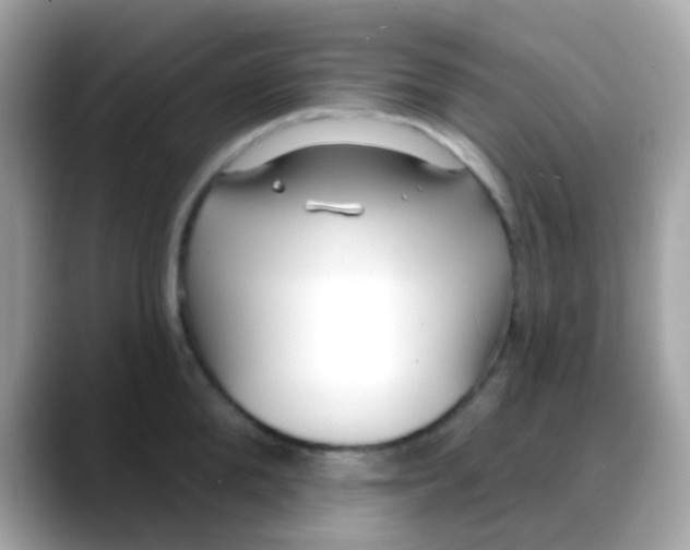 X0000088040904200706011322