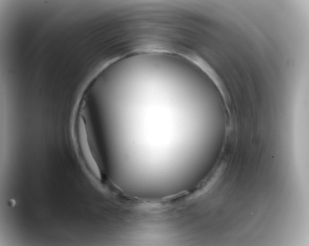 X0000088040909200706011322