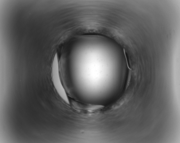 X0000088040916200706011321