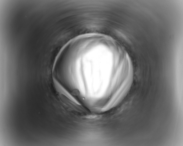 X0000088040917200706011321