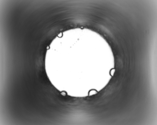 X0000088040918200706011321