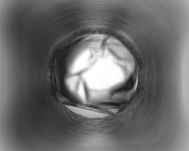 X0000088040919200706011321