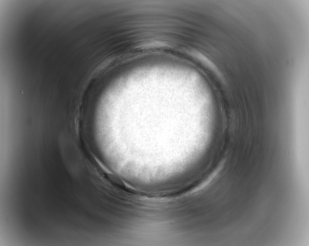 X0000088040921200706011321