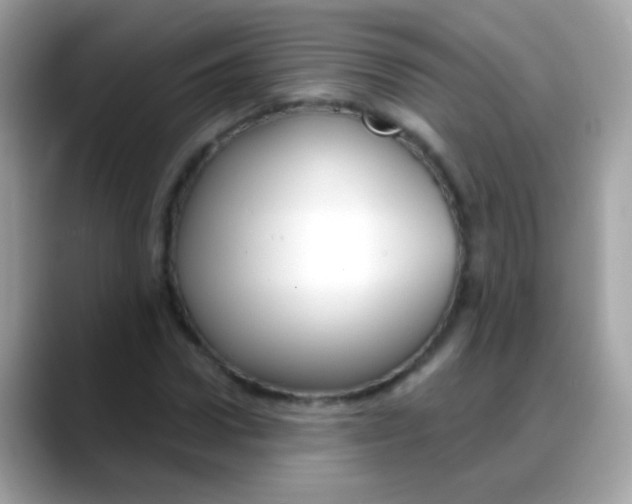 X0000088040922200706011321