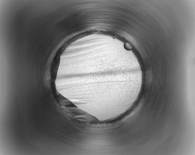 X0000088040923200706011321