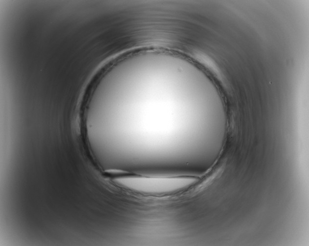 X0000088040924200706011321